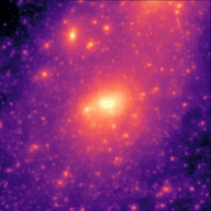 Dark-matter-only input field